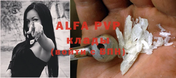 сатива Арсеньев