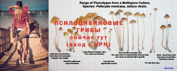 ALPHA PVP Абинск